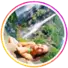 feedback2-ပရိုဖိုင်ဓာတ်ပုံ